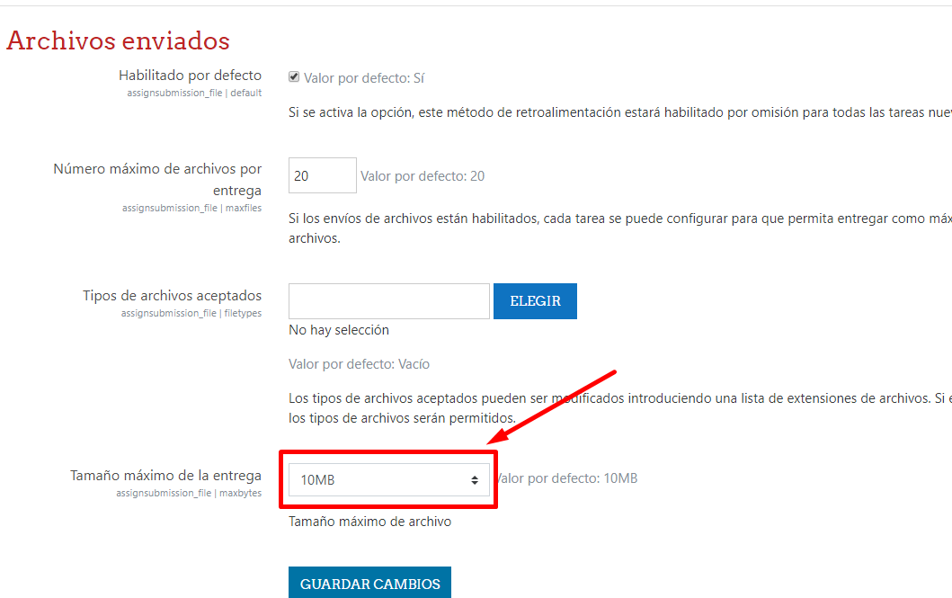 tamaño de archivos entregados