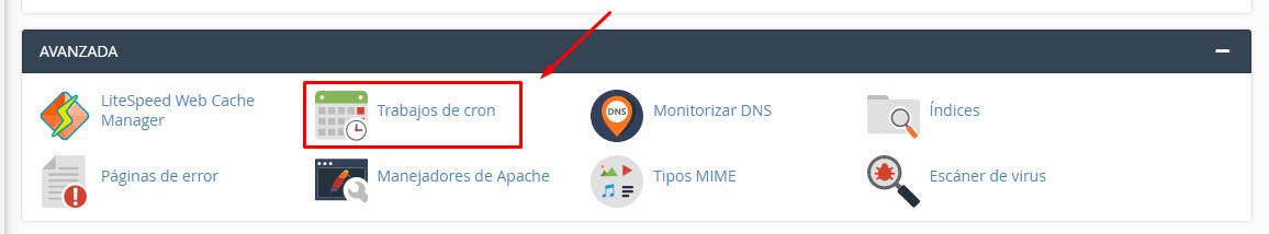 cron cpanel